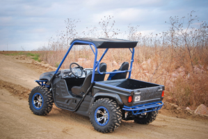 2007 Yamaha Rhino